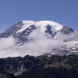 The Rainier Law Group ico