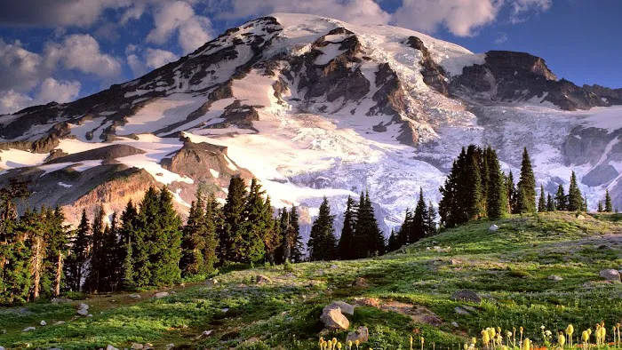 The Rainier Law Group 4