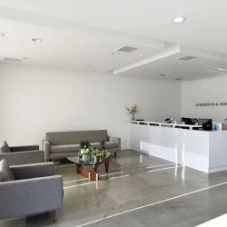 Shegerian & Associates ico
