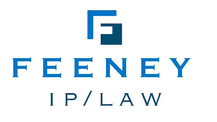 Feeney Patent Law Group 5