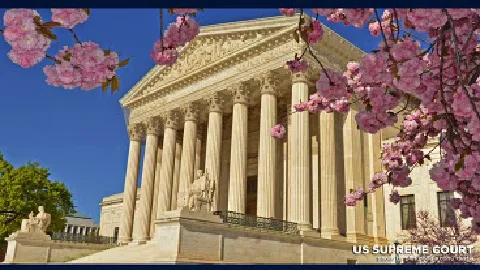 DelSignore Law 3