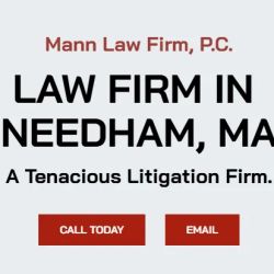 Mann Law Firm, P.C. ico