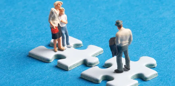 Feldman Family Law 1