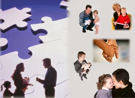 Feldman Family Law 10