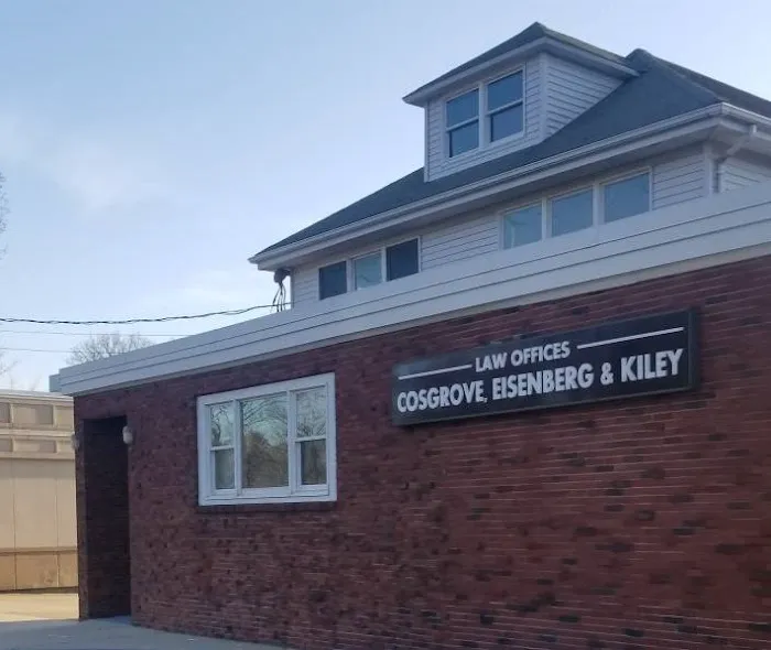 Cosgrove Eisenberg & Kiley 2