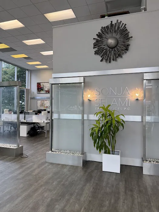 Law Offices of Sonja B Selami PC 4