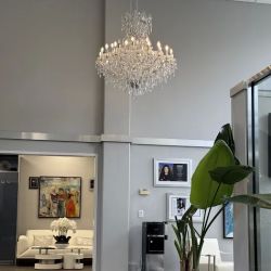 Law Offices of Sonja B Selami PC ico