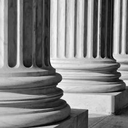Attorney Diane Shields ico