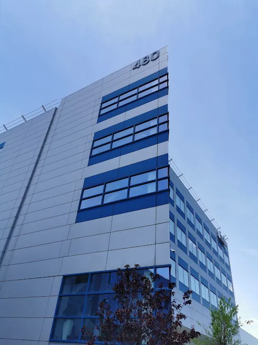 Estrada Carlos E 8