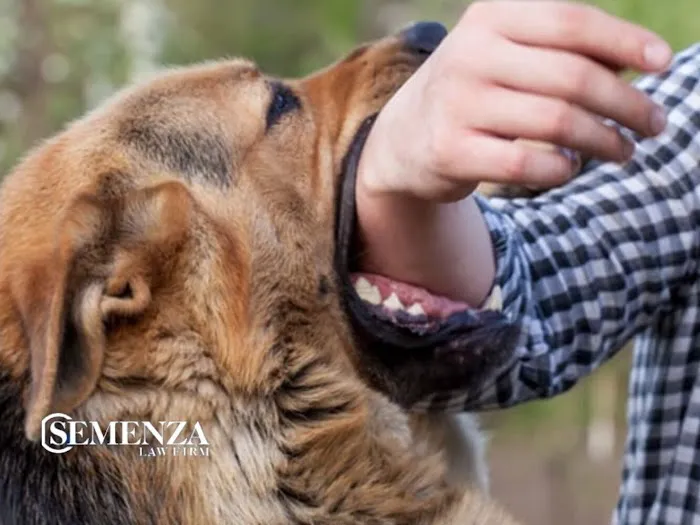 Semenza Law Firm 2