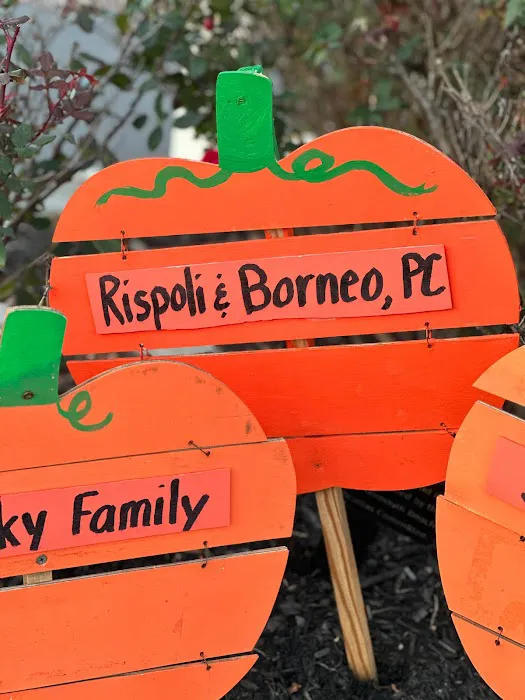 Rispoli & Borneo, P.C. 3