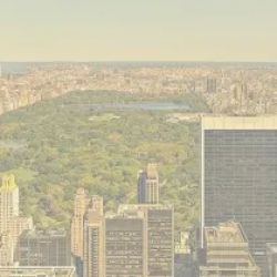 The Law Offices of George J. Mardinly ico