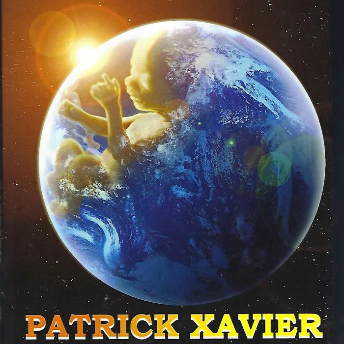 Law Offices of Patrick X. Amoresano 3