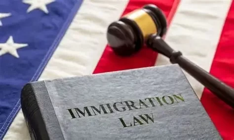 How Immigration Lawyers Help in Business Visa Applications