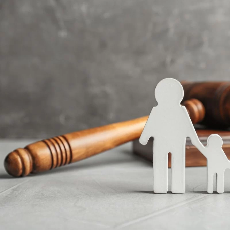 Understanding the Role of a Guardian ad Litem in Custody Cases | Legal Insights