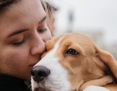 What Happens to Pets in Divorce Cases? Legal Considerations and Custody