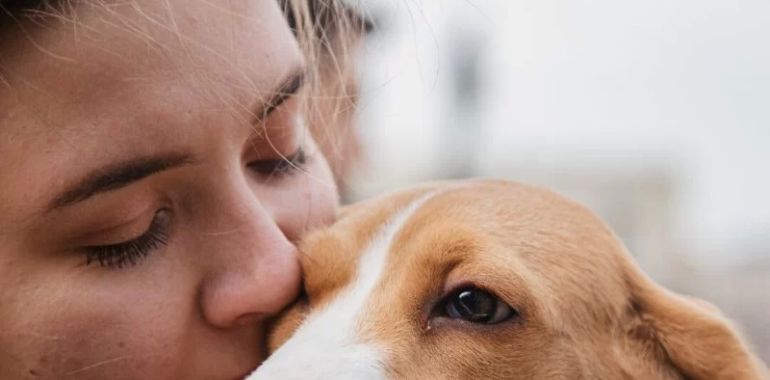 What Happens to Pets in Divorce Cases? Legal Considerations and Custody